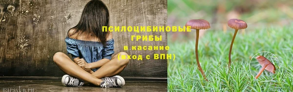 экстази Богданович